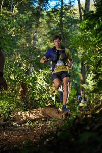 BIB: 1220
                            <button type="button" onclick="openModal(19230042)" class="btn btn-primary btn-sm float-right btn-popup" data-toggle="modal" data-target=".modal-high-quality">
                        <i class="fas fa-shopping-cart"></i> Add to Cart
                    </button>
                                            <button type="button" onclick="isThisMe(19230042, true)" class="btn btn-success btn-sm float-right btn-popup btn-isme hidden" data-toggle="tooltip" data-placement="bottom" title="นี่คือรูปของคุณใช่ไหม คลิกที่นี่เพื่อเอาเข้าอัลบั้ม">
                        <i class="fas fa-plus"></i> Add to album
                    </button>
                    <button type="button" onclick="isThisMe(19230042, false)" class="btn btn-warning btn-sm float-right btn-popup btn-isnotme hidden">
                        <i class="fas fa-ban"></i> Remove from album
                    </button>